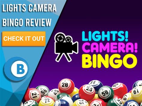Lights camera bingo casino Dominican Republic